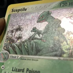 Pokemon Card - Sceptile Ruby and Sapphire 11/109 Holo Rare - Image 3