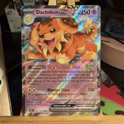 Dachsbun ex 067/142 Stellar Crown Double Rare Holo Pokemon TCG MINT - Image 1