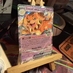 Dachsbun ex 067/142 Stellar Crown Double Rare Holo Pokemon TCG MINT - Image 2