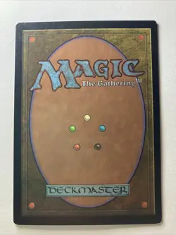 Renewing Touch Portal Second Age MTG LP - Image 2