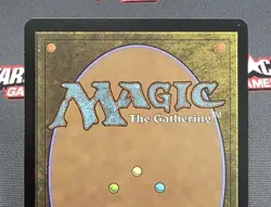 MTG Swamp- Signed -Shards of Alara Magic the Gathering Card # 239 - Image 5