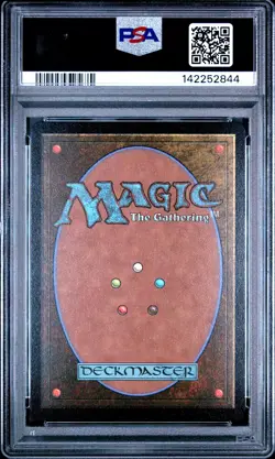 2025 MTG FINAL FANTASY CHOCOBO BUNDLE #0569 CHOCO, SEEKER OF PARADISE PSA 10 - Image 2