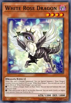 Yugioh! White Rose Dragon MP25-EN038 STARLIGHT Rare 2025 tin ships 9/5 - Image 1