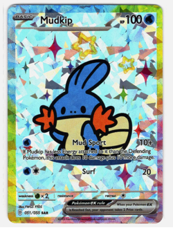 POKEMON RAINBOW BOARDER FAN ART CARD * MUDKIP * CRACKED ICE HOLO - Image 1