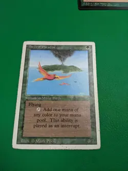 Birds of Paradise Revised Edition Regular - Image 1