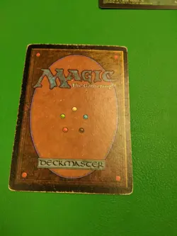 Birds of Paradise Revised Edition Regular - Image 2