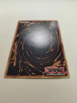 Monster Reincarnation RDS-EN045 Super Rare LP - Image 4