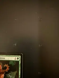 Argothian Enchantress Eternal Masters Regular - Image 3