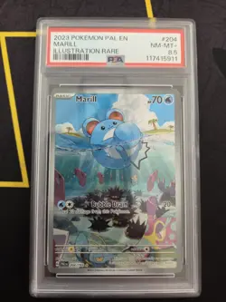 Marill 204/193 Paldea Evolved Illustration Rare Pokemon Card PSA 8.5 - Image 1