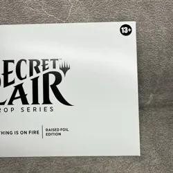 Secret Lair Drop Everything Is On Fire Raised Foil Edition SLD MTG NEW - Image 4