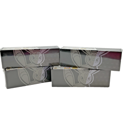 Lot of (4) Pokemon TCG Chinese 25Th Anniversary Premium Collection Box Umbreon - Image 1