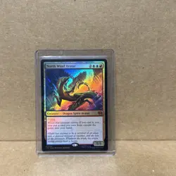 North Wind Avatar Teenage Mutant Ninja Turtles Foil - Image 1