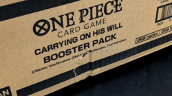 OP-13 One Piece Carrying On HIs Will English Booster 12-Box Case Sealed - Image 2