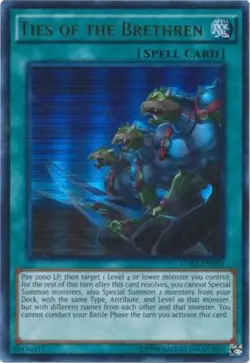 Yugioh! LP Ties of the Brethren - LDK2-ENY02 - Ultra Rare - Unlimited Edition Li - Image 1