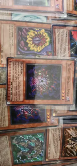Yu-Gi-Oh! Bulk Lot Around 3500-3800 Cards. Common, Rare and Ultra rare mixed. - Image 2