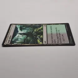 MTG: Jungle Hollow 249/274 - Ikoria Lair of Behemoths 2020 Land Common - Image 5