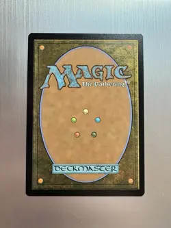 Practiced Offense - 25 - MTG: Secrets of Strixhaven - Rare - FOIL - Image 2