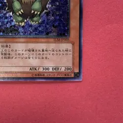 Winged Kuriboh TLM-JP005 Ultimate Rare YuGiOh teka - Image 5