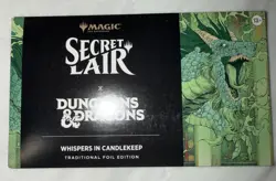 MTG Secret Lair x Dungeons & Dragons Whispers in Candlekeep Foil - Image 1