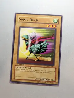 Sonic Duck - SD8-EN003 - Common 1st Edition Yugioh - NM - Image 1