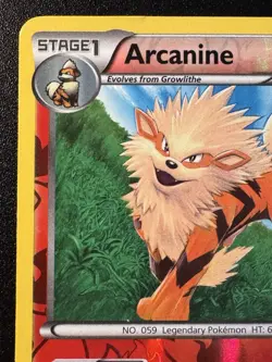 Arcanine 12/99 B&W Next Destinies Pokemon Card Reverse Holo Foil Rare MP - Image 3