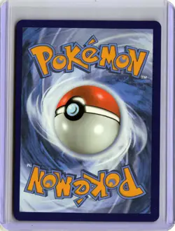 Piplup - 042 042 Holo Promo ME: Mega Evolution Promo Pokemon Near Mint - Image 2