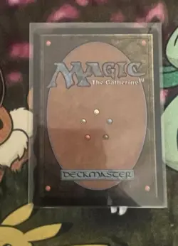 Aang's Shelter - Teferi's Protection (Borderless) Avatar: TLE Regular - Image 3