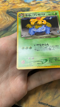 Venusaur Holo GB Game Boy Promo No.003 Pokemon Card Japanese 1999 #2786 - Image 2