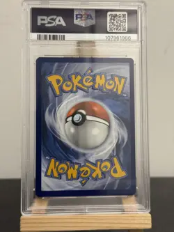 Horsea #067/064 - PSA 9 - Pokemon TCG Shrouded Fable Set illustration Rare - Image 4