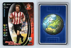 Stefan Schwarz - Sunderland #223/250 Football Champions 2001-2 TCG Card - Image 1