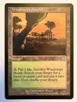 Windswept Heath - Onslaught (ONS), LP MTG - Image 1