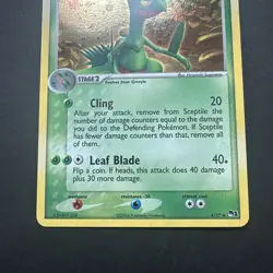 Sceptile 4/17 Holo Rare POP Series 1 LP Pokemon Card - Image 3