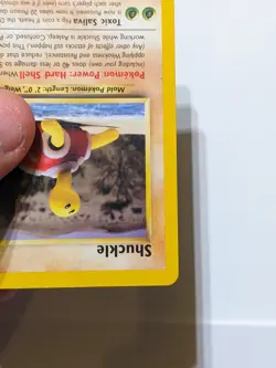 Shuckle 51/64 Neo Revelation COMMON Pokemon WOTC - NM - Image 4