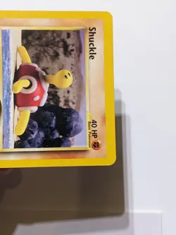 Shuckle 51/64 Neo Revelation COMMON Pokemon WOTC - NM - Image 5