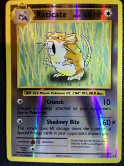Raticate 67/108 Evolutions Pokemon English Reverse Holo 2016 - Image 1