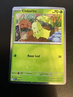 Pokemon TCG Black Star Promo Chikorita MEP069 Perfect Order English - Image 1