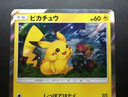 Pikachu Pokemon 2017 Pikachu Special Set Promo Japanese 044/SM-P - Image 1