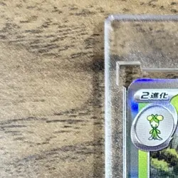 Pokemon Arboliva Holo 017/190 SV4a Shiny Treasure ex Japanese Card - Image 3