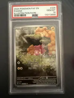 Pokemon TCG Pawmi IR 226/091 Paldean Fates Rare Card PSA 10 Gem Mint EN 2023 - Image 3