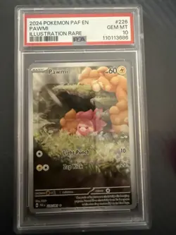 Pokemon TCG Pawmi IR 226/091 Paldean Fates Rare Card PSA 10 Gem Mint EN 2023 - Image 4