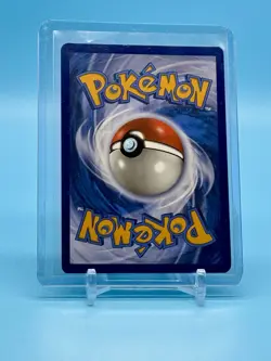 Eevee GX SM242 Sun & Moon Black Star Promo Pokemon TCG Near Mint - Image 2