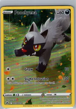 Poochyena GG33/GG70 Crown Zenith: Galarian Gallery - Pokemon Card - NM - Image 1