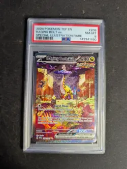 Raging Bolt EX 208/162 Special Illustration Rare Pokemon PSA 8 *595 - Image 1