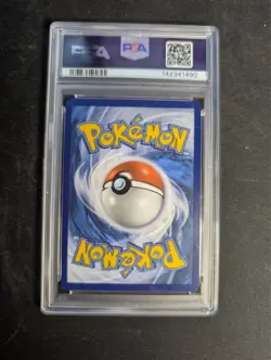 Raging Bolt EX 208/162 Special Illustration Rare Pokemon PSA 8 *595 - Image 2