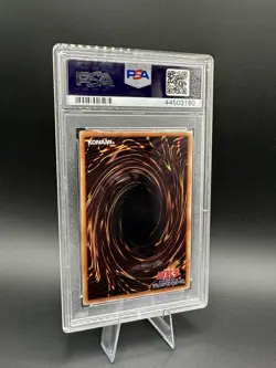 2019 YU-GI-OH! JPN PROMO #JP001 DARK MAGICIAN GIRL PSA 10 - Image 4