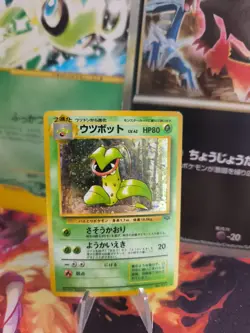 Pokemon Karte Card Victreebel Sarzenia Jungle Dschun Holo Wotc japanese NM Swirl - Image 1