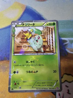 Japanese Chikorita 001/032 - PokeKyun Collection - 1st Ed Holo CP3 - Pokemon - Image 1
