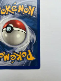 Pokemon Squirtle 132/165 Expedition Base Set Regular - Image 3