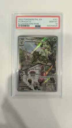 Floragato 197/193 Illustration Rare PSA 10 Pokemon TCG - Image 1