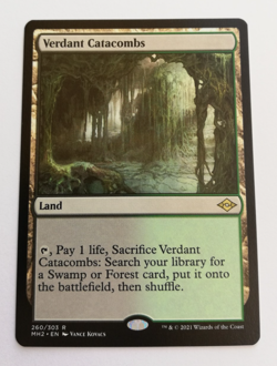 MTG | Verdant Catacombs | Modern Horizons 2 | NM | Fetch Land - Image 1